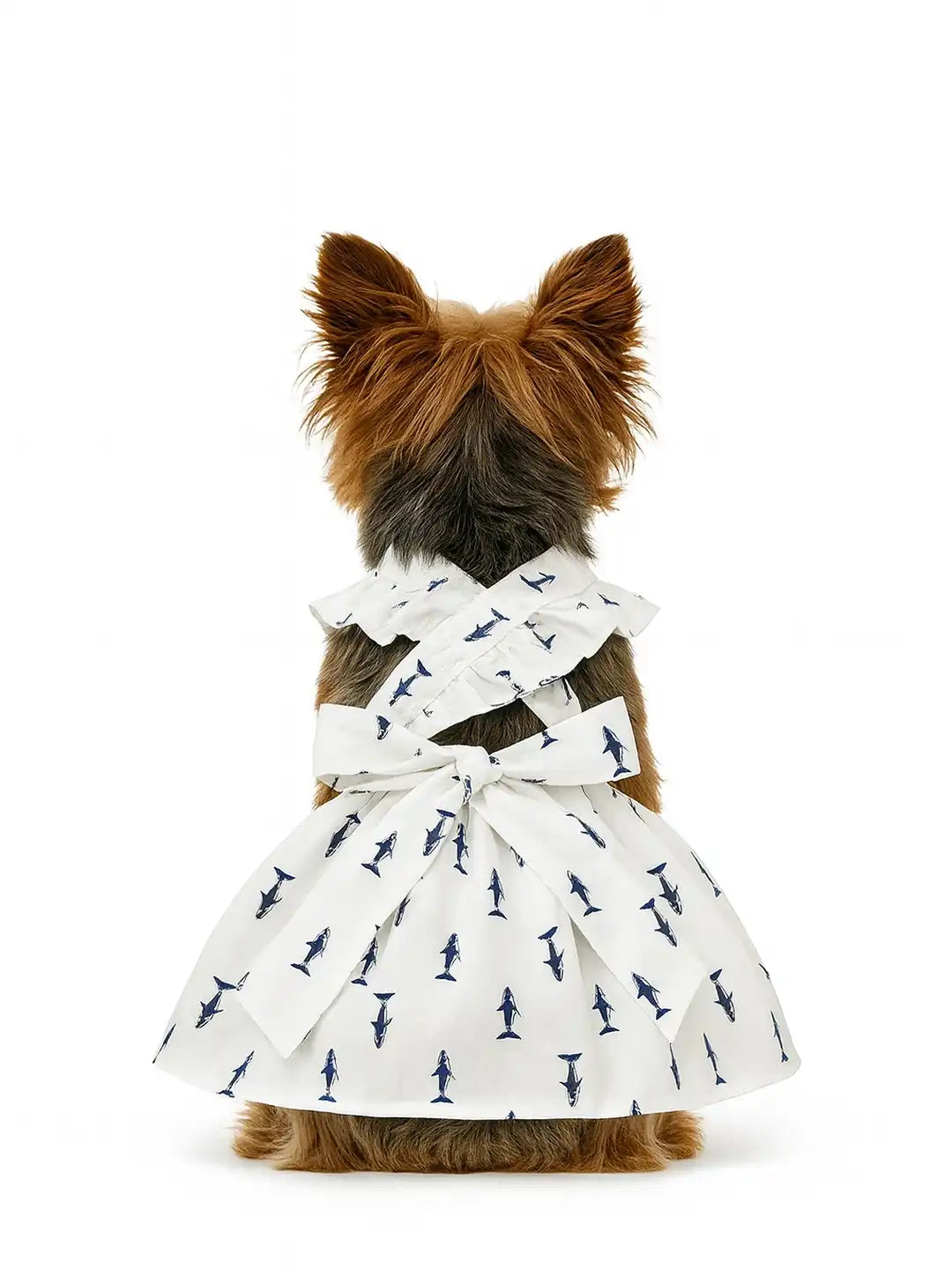 Dog wearing a white dress with blue patterns