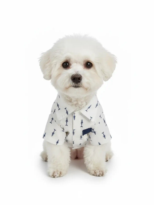 Small white dog wearing a patterned shirt 