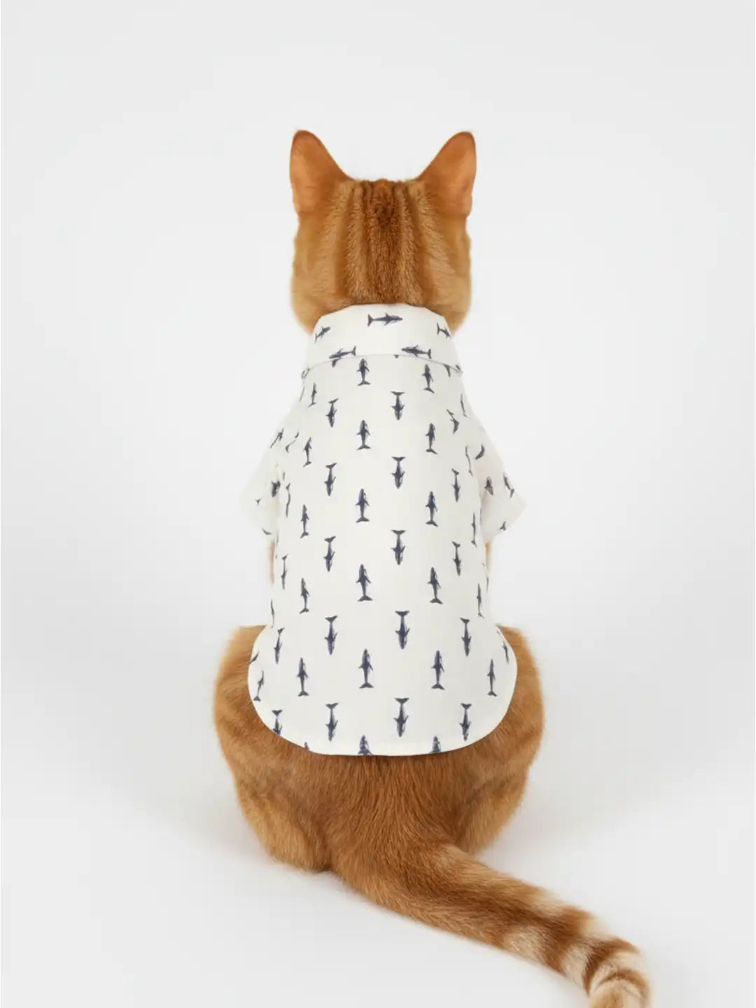 Cat wearing a white shirt with black patterns 