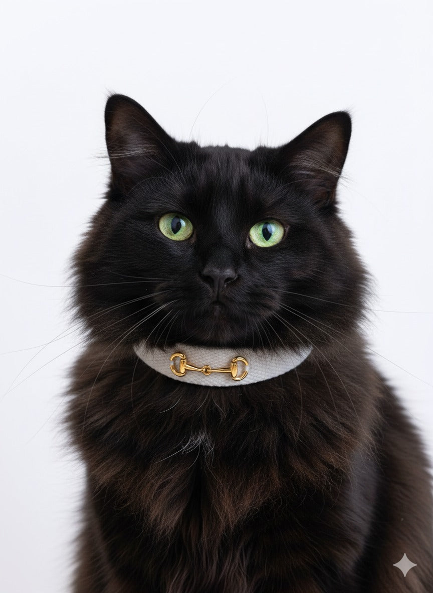 Organic Equinox Pet Collar