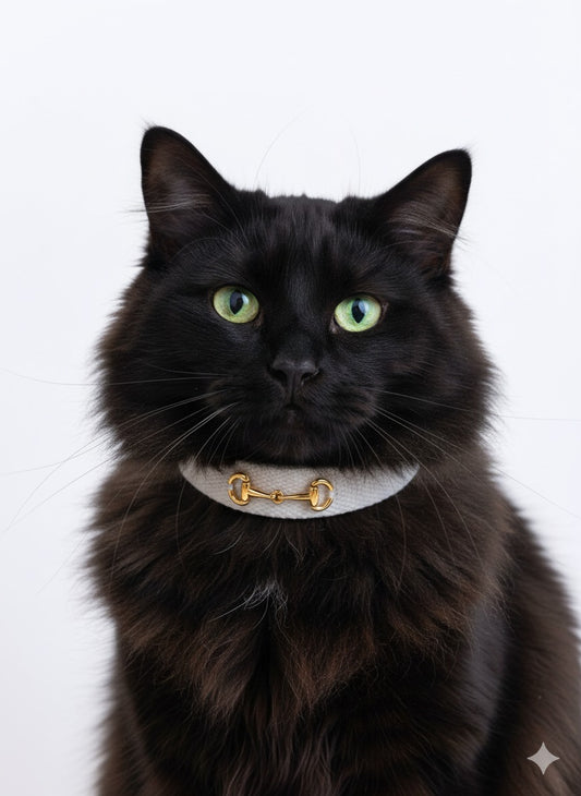 Organic Equinox Pet Collar