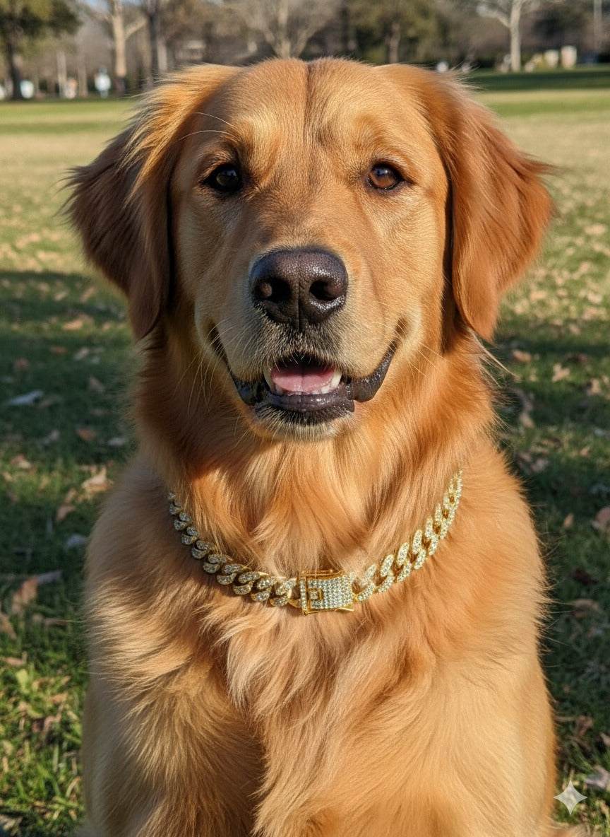 Gold Crystal Collar - Pet Necklace