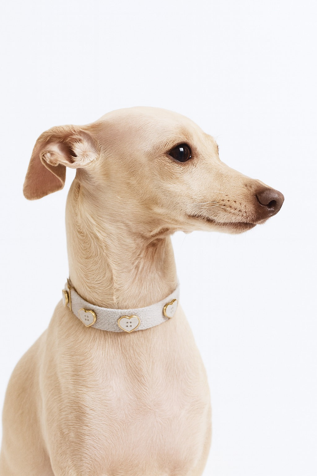 Organic White Heart Pet Collars