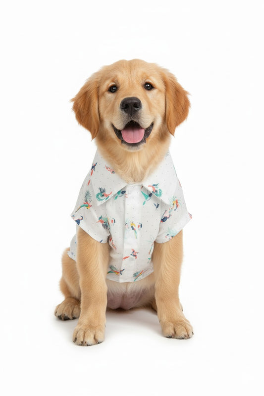 Birdsong Breeze Shirt