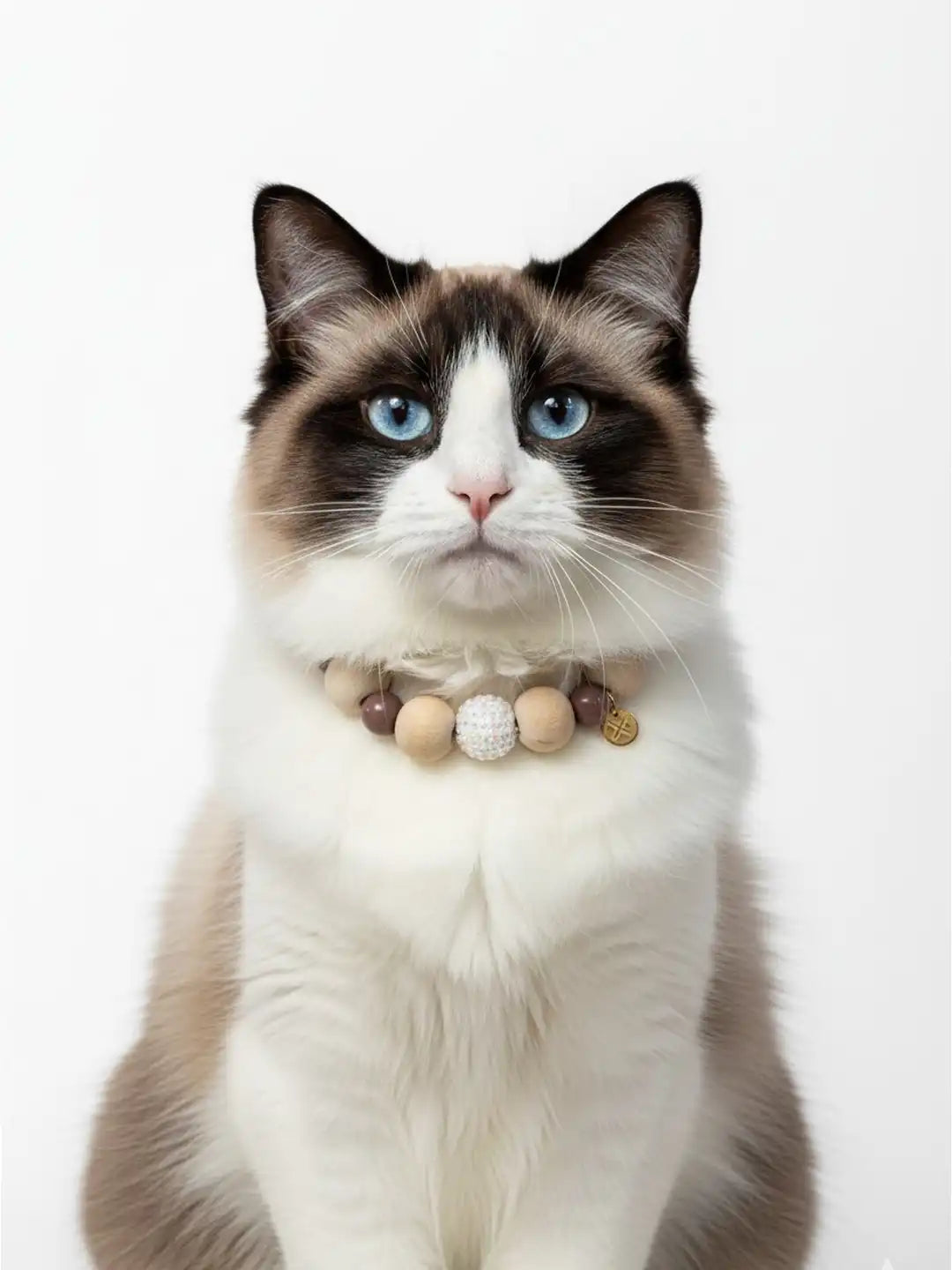 Cat wearing a wooden bead collar 