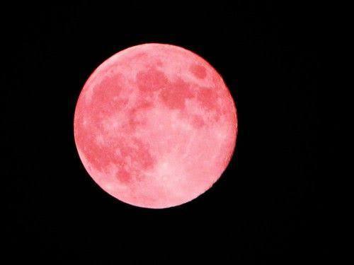 Pink moon against a black background | Women Jumpsuit | Pret Clothes | nEo Clothes