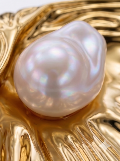 Cosmic Shell Brooch